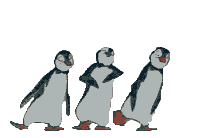 tucnaci.gif